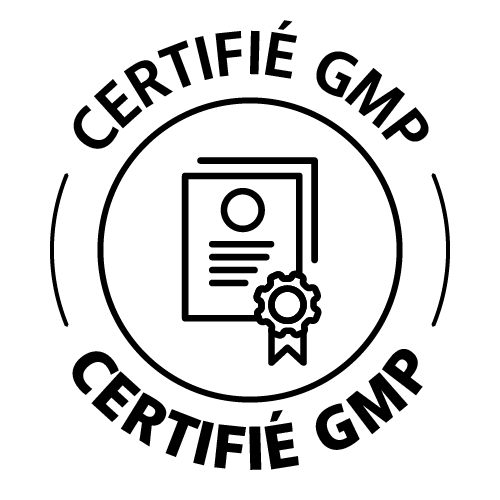 Leanful icons fr gmp certified