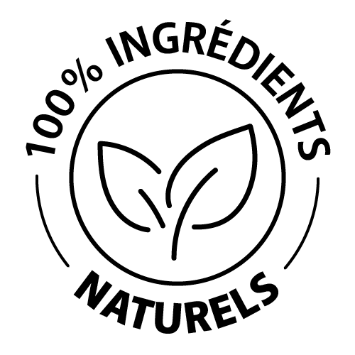 Leanful icons fr natural ingredients